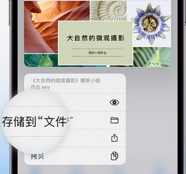 越秀apple维修中心分享iPhone文件应用中存储和找到下载文件