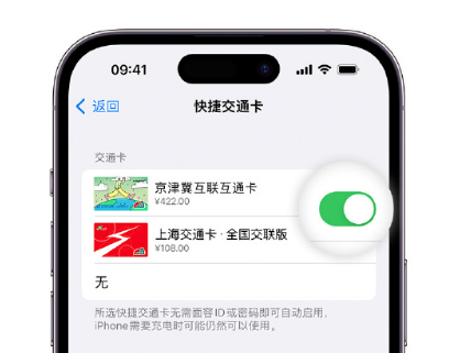 越秀apple维修点分享iPhone上更换Apple Pay快捷交通卡手绘卡面 