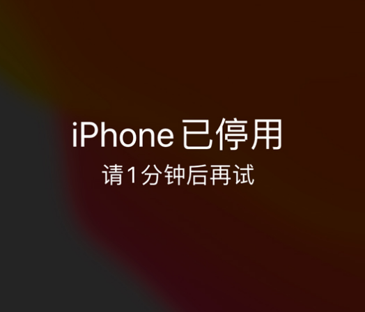 越秀苹果手机维修分享:iPhone 显示“不可用”或“已停用”怎么办？还能保留数据吗？ 