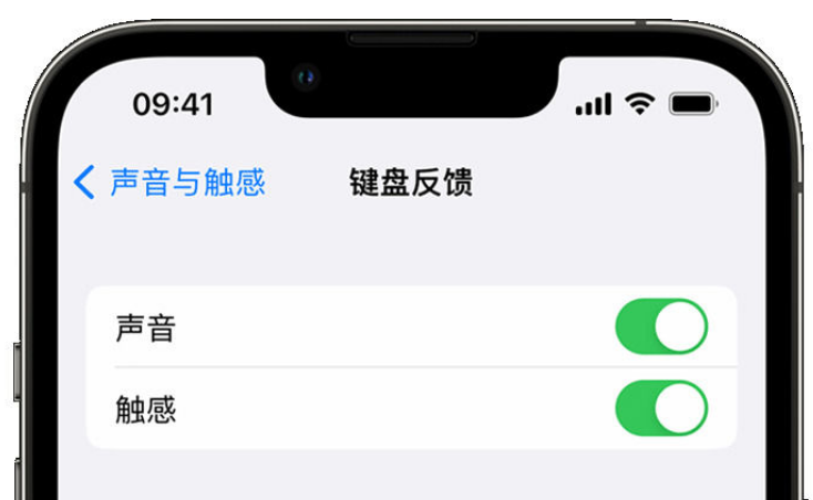 越秀苹果手机维修分享iPhone 14触感键盘使用方法 