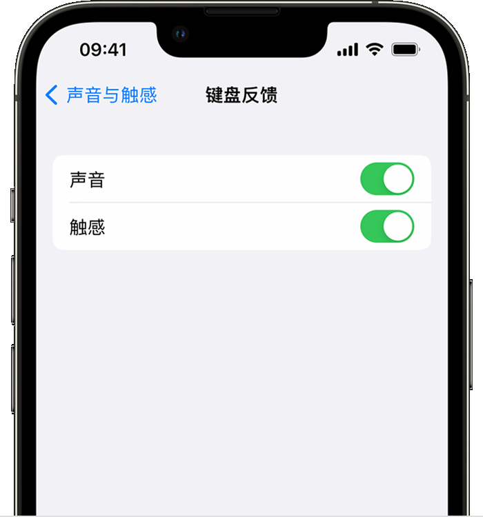 越秀苹果14维修店分享如何在 iPhone 14 机型中使用触感键盘 