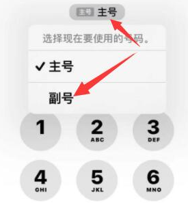 越秀苹果14维修店分享iPhone 14 Pro Max使用副卡打电话的方法 