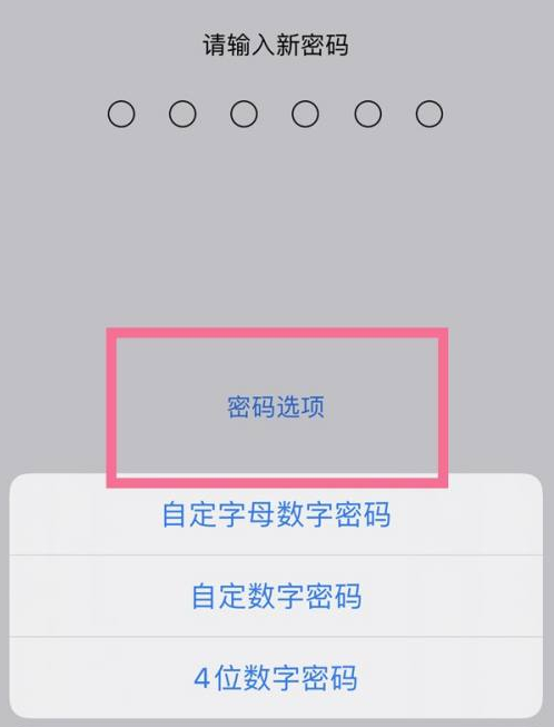 越秀苹果14维修分享iPhone 14plus设置密码的方法 